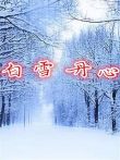 白雪丹心电影海报