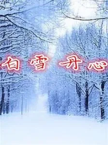 白雪丹心电影海报