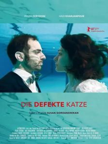 һֻ����ʧ����è