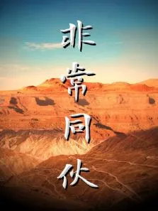 非常同伙电影海报