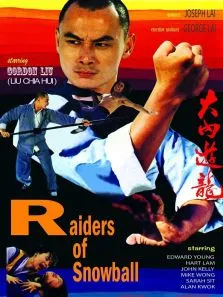 大内游龙电影海报