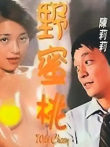 雾中情电影海报