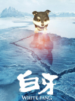 白牙电影海报