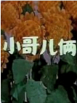 小哥儿俩电影海报