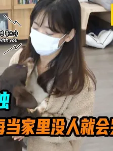 狗狗害怕孤独，每当家里没人就会哭泣，直到有人出现才停止电影海报