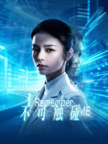 不可触碰电影海报
