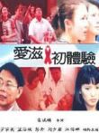 爱滋初体验电影海报