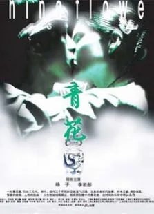 青花电影海报