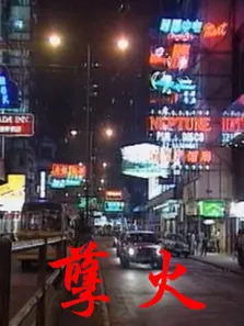 孽火电影海报