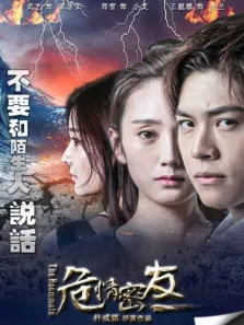 危情密友电影海报