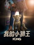 我的小狮王电影海报