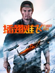 插翅难飞（普通话）电影海报