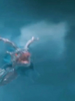 电影《西游魔童红孩儿》第3段丨高燃片段电影海报