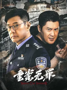 重案无罪电影海报