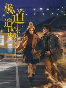 极道追踪电影海报