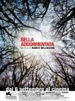 沉睡的美人电影海报