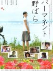 常开野蔷薇电影海报