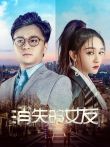 消失的女友电影海报