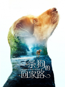 һ�����Ļؼ�·����ͨ����