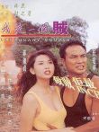 我是一个贼电影海报