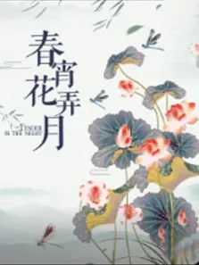 春宵花弄月电影海报