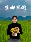 李响进城电影海报