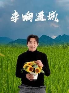 李响进城电影海报