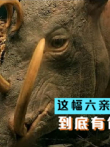 长着一副六亲不认的獠牙，却不是用来战斗的，那是用来干嘛的呢电影海报
