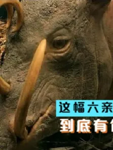 长着一副六亲不认的獠牙，却不是用来战斗的，那是用来干嘛的呢电影海报