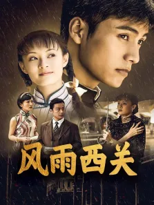 风雨西关电视剧海报