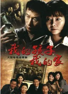 我的孩子我的家电视剧海报
