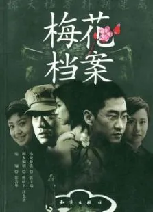 梅花档案电视剧海报