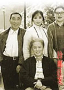 珍邮迷案电视剧海报