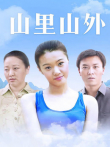 山里山外电视剧海报