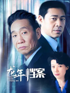 龙年档案电视剧海报