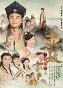 东坡家事电视剧海报