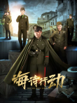 海诗行动电视剧海报