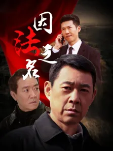 因法之名电视剧海报