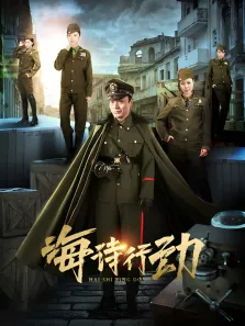 海诗行动电视剧海报