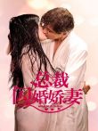 总裁的闪婚娇妻电视剧海报