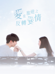 爱在旅途之反转爱情普通话版电视剧海报