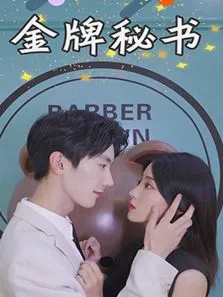 金牌秘书电视剧海报