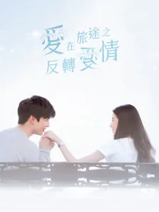 爱在旅途之反转爱情普通话版电视剧海报