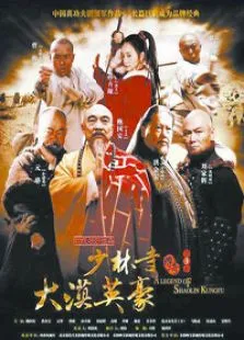 少林寺传奇之大漠英豪电视剧海报