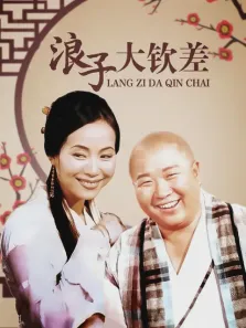 浪子大钦差电视剧海报