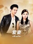 爱妻电视剧海报