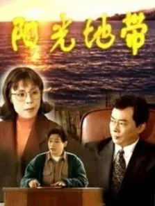 阳光地带电视剧海报