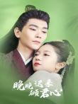 晚晚迟来倾君心电视剧海报