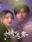 拨开迷雾电视剧海报