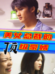 美女总裁的顶级豪婿电视剧海报